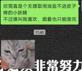 发这么一张猫舔爪子的表情包动图是什么意思