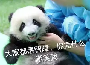 成都双遗马五周年现在开报首周9折特惠