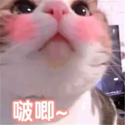 你的一句我爱你,就算猛虎也落泪