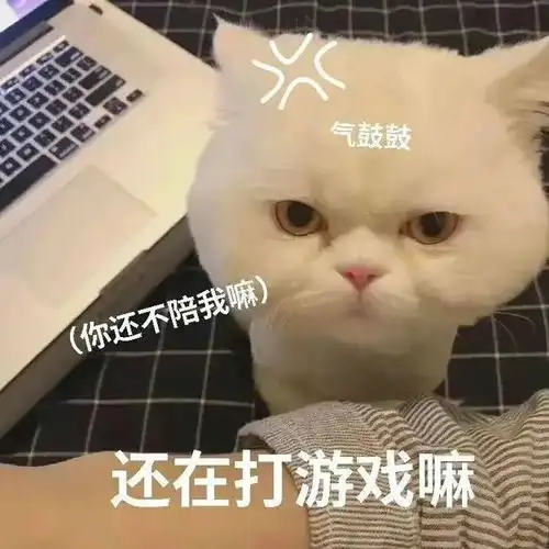 看到没快回马上第253期喵表情