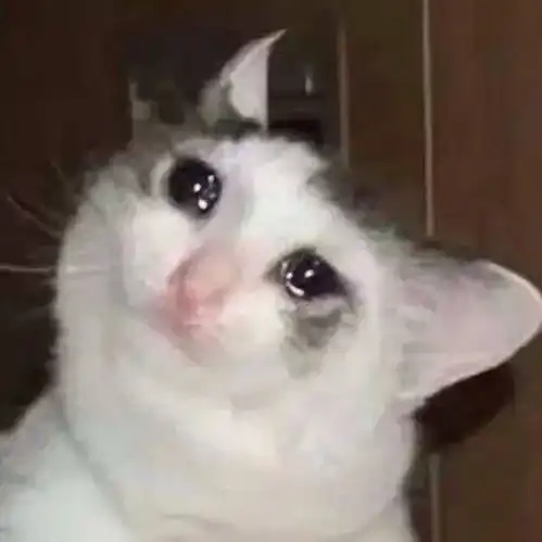 有没有流泪猫猫头的表情包太可爱了